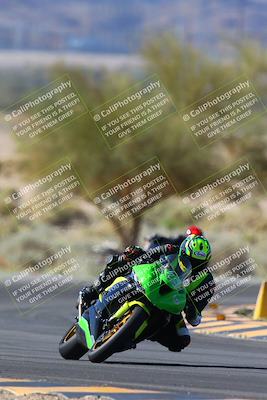 media/Apr-14-2024-SoCal Trackdays (Sun) [[70f97d3d4f]]/1-Turn 5 Tree of Life (920am)/